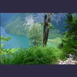 2007-05_10Saletsteig_Sagereck-Steig (044).JPG